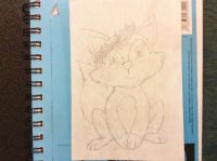 Cutest fox